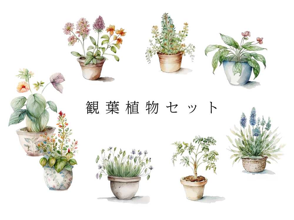 水彩画の観葉植物のイラストセット