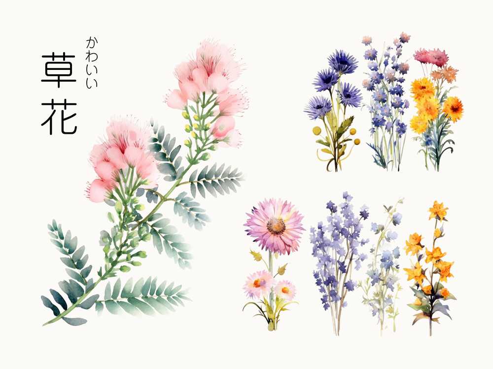 かわいい草花の水彩画イラストセット