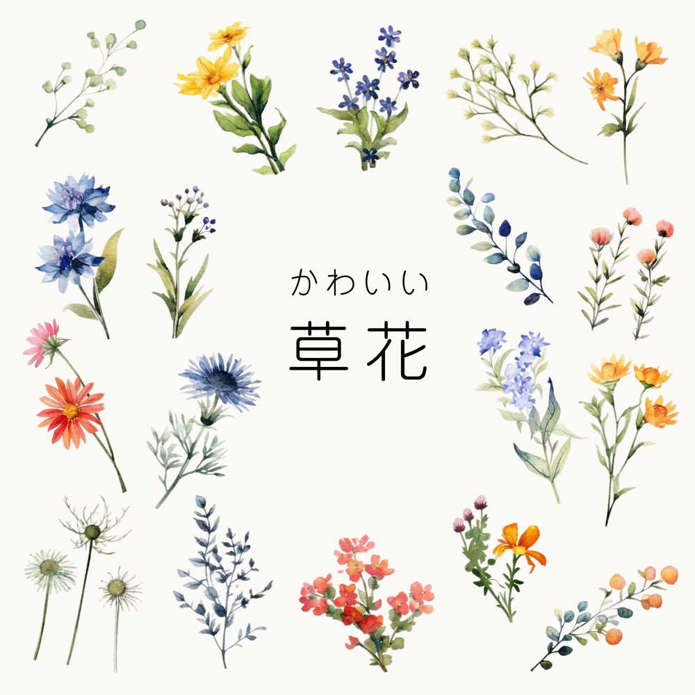 かわいい草花の水彩画イラストセット
