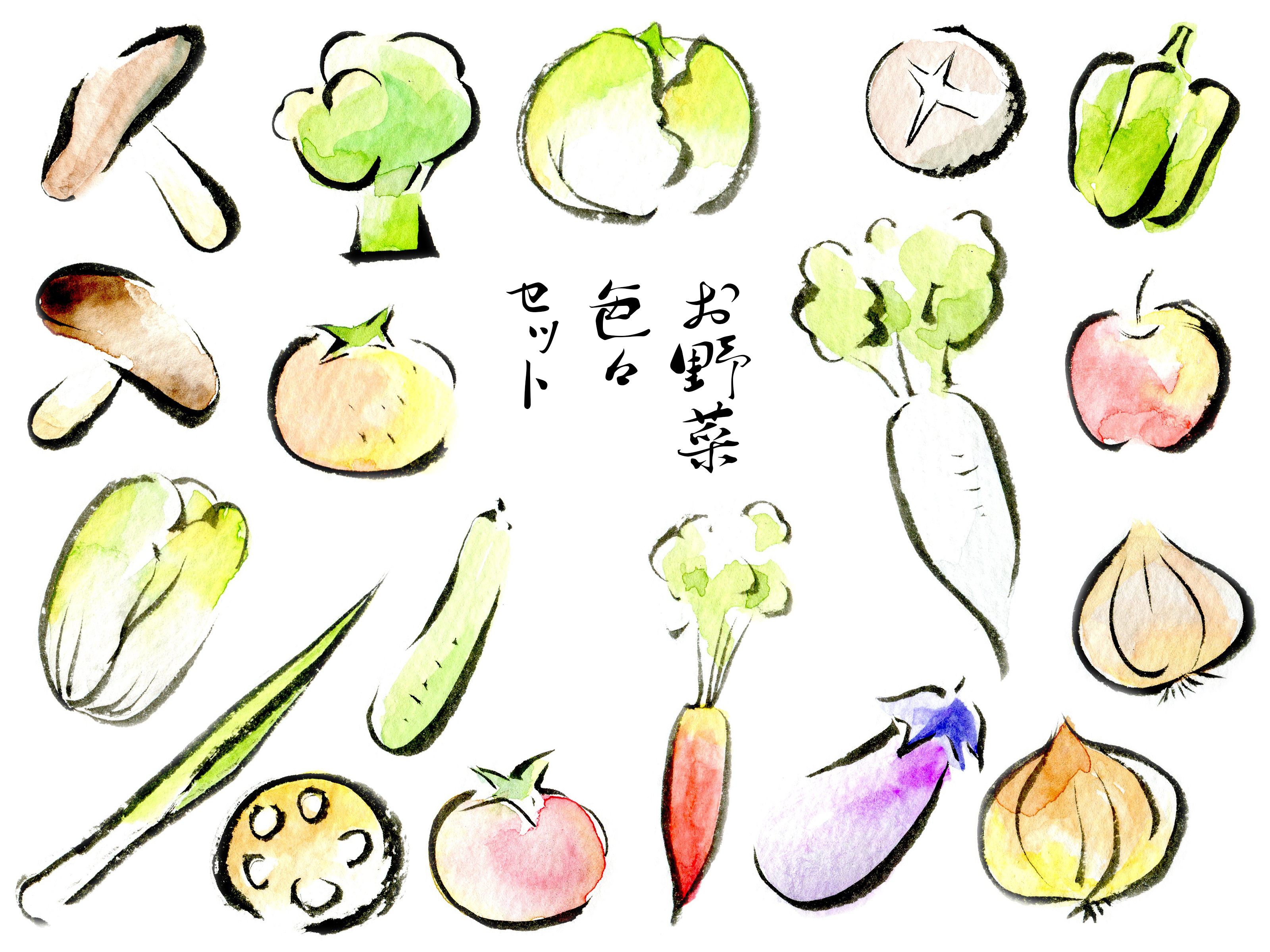 色々な野菜の水彩画イラストセット